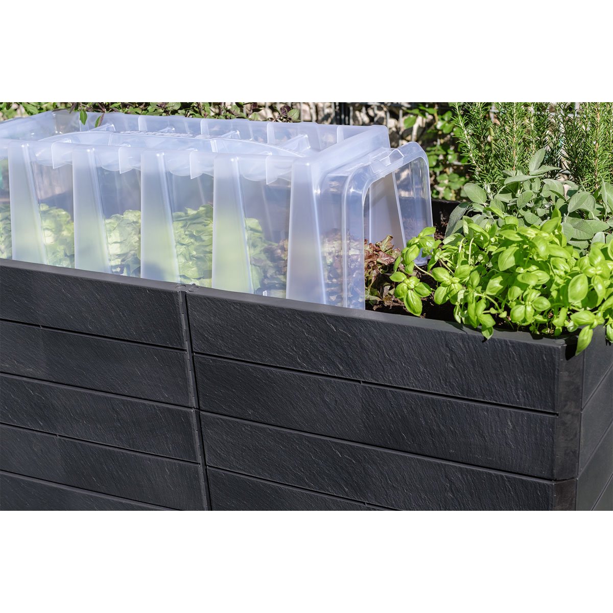 Garantia  Hochbeet Ergo Quadro 2 L 75 Stone, inkl. FLORA Wassersparsystem Bild 4