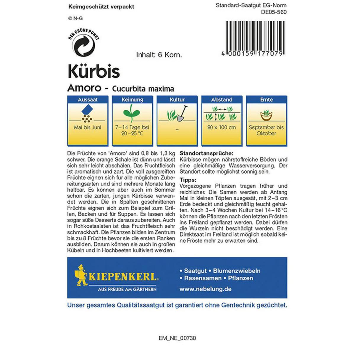 Kiepenkerl Kürbis ´Amoro´ Bild 2