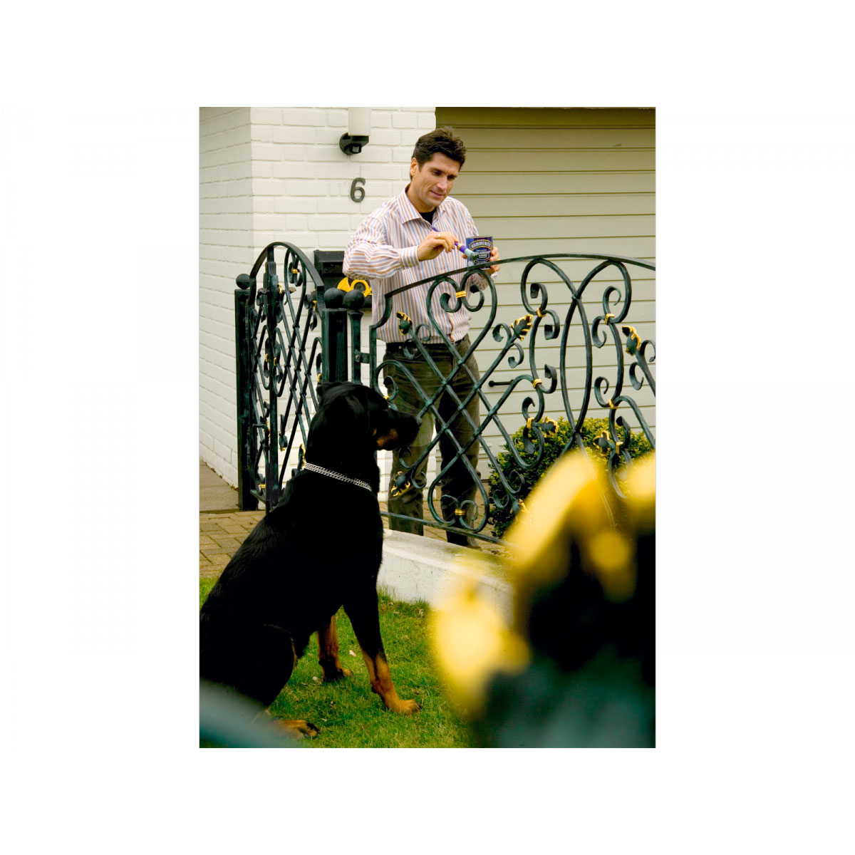 Hammerite Metallschutzlack Hammerschlag dunkelgrün 750 ml Bild 4