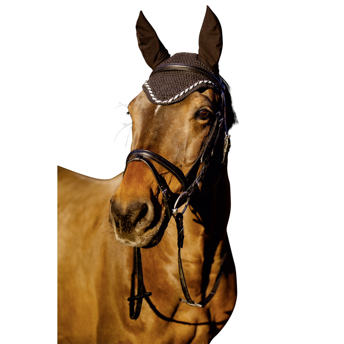 Fliegenhaube Classic schwarz Bild 2