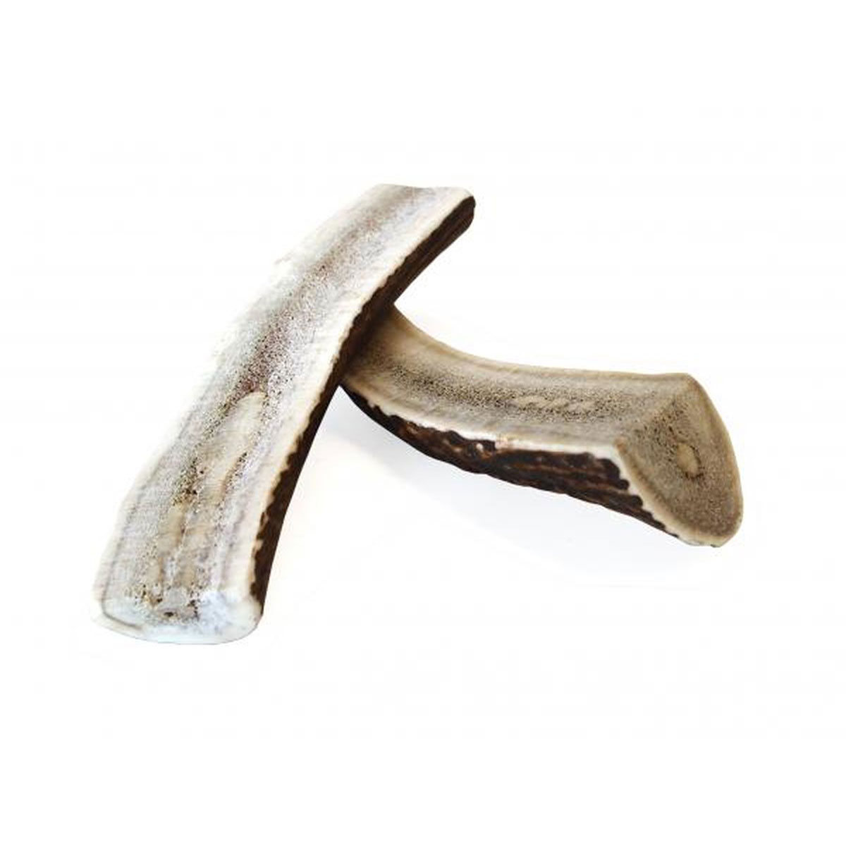 Dog Chewies Geweih-Snack Halb L