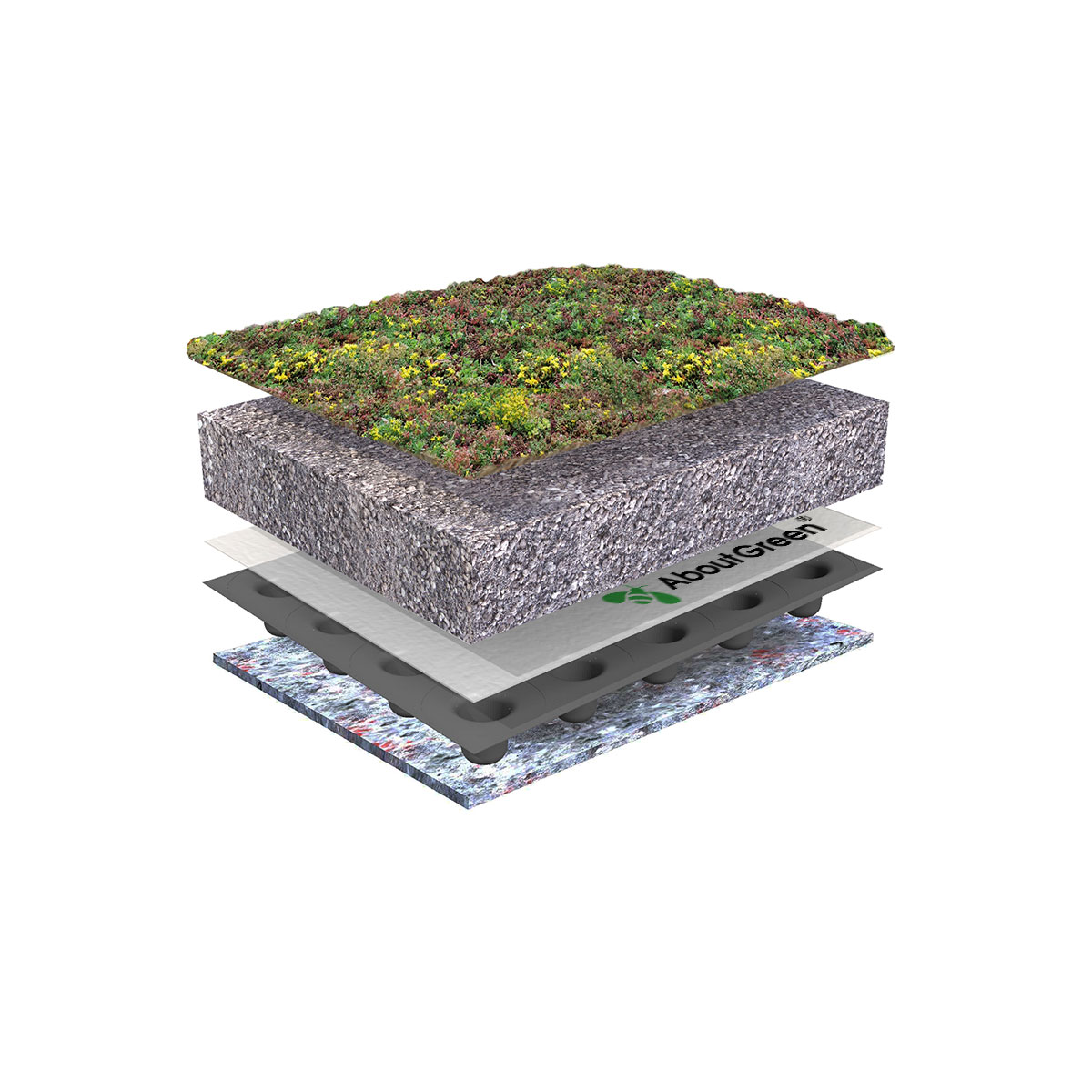 AboutGreen Gründachsystem Flachdach bis 5 Dachneigung 1 m² Bild 6