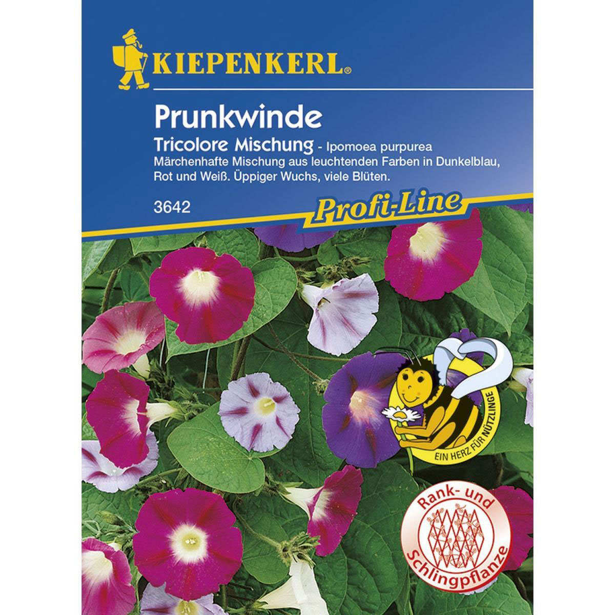 Kiepenkerl Prunkwinde Tricolore Mischung Profi-Line