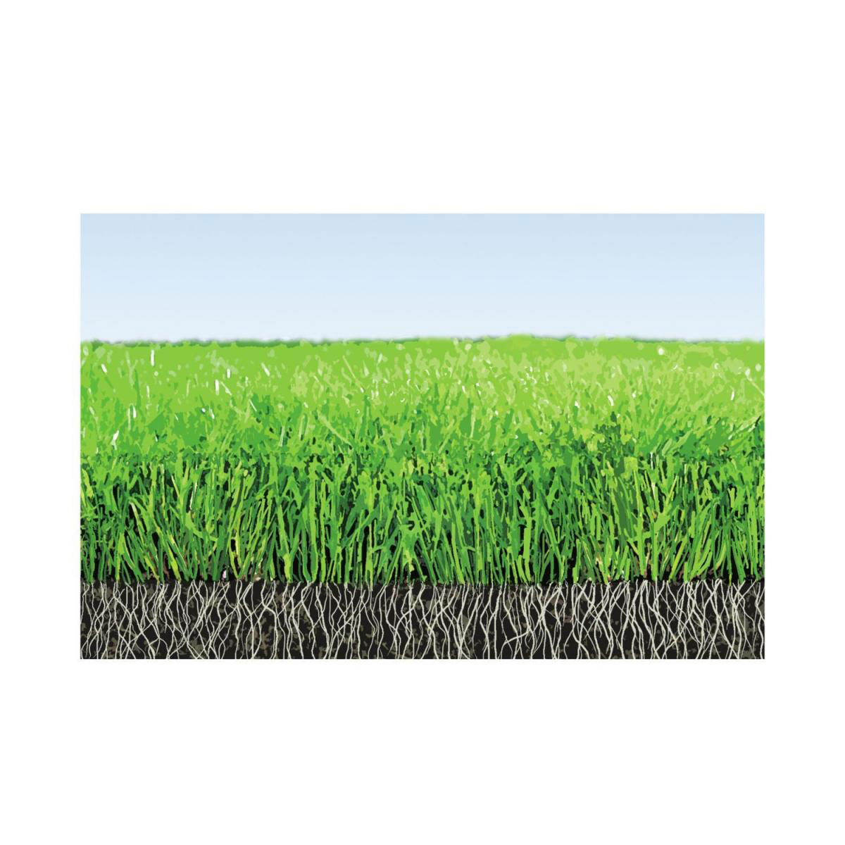 Compo Rasendünger mit Langzeitwirkung Aktion 13,75 kg Bild 2