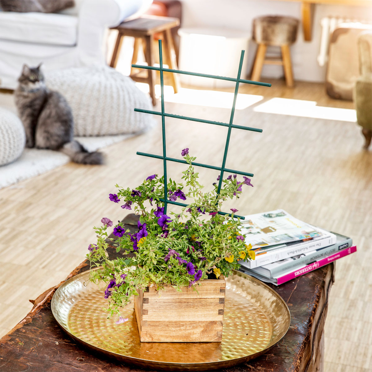 Windhager  Blumenstütze 57x31 cm