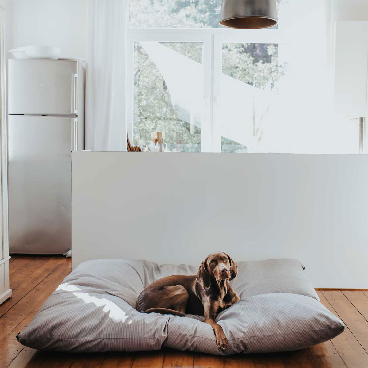hundebett „lancaster xxxl“, grau, 175x145 cm | 814858
