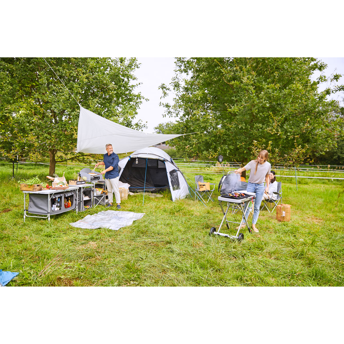 Weber Gasgrill Traveler Bild 5