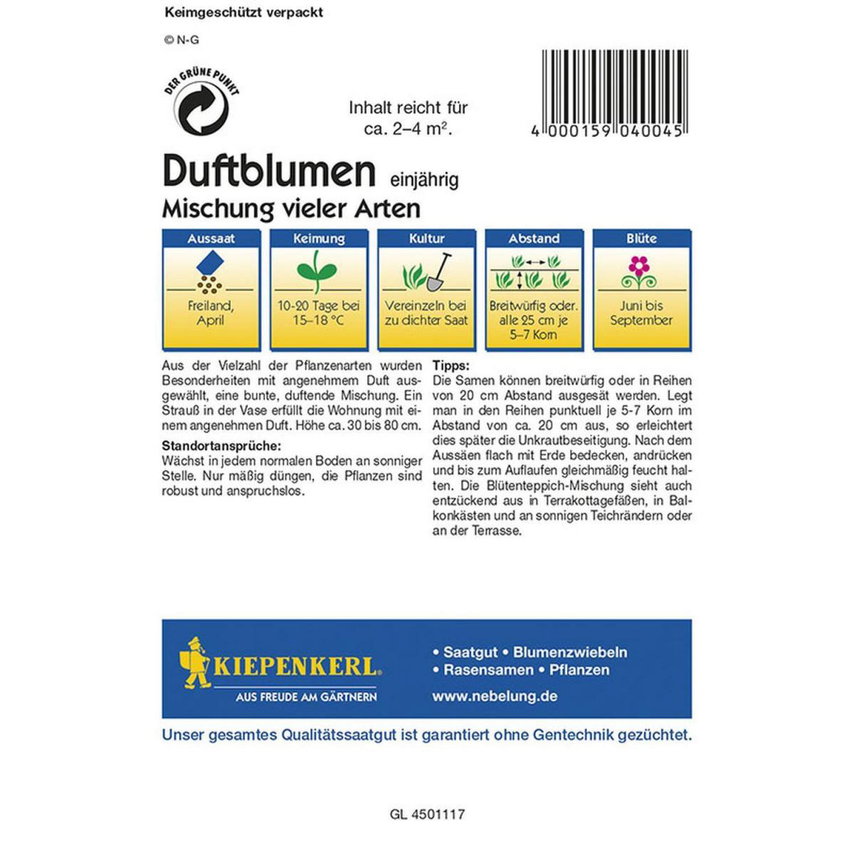 Kiepenkerl Duftblumenmischung einjährig Profi-Line Bild 2