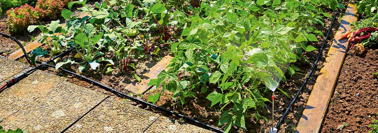 Bewaesserung_nutzgarten Bewaesserung_nutzgarten