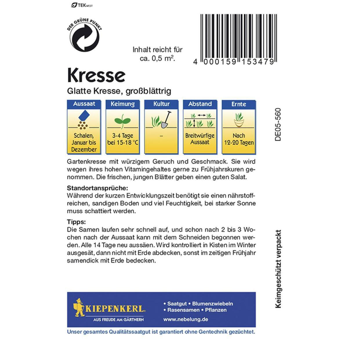 Kiepenkerl Kresse glatte großblättrig Bild 2