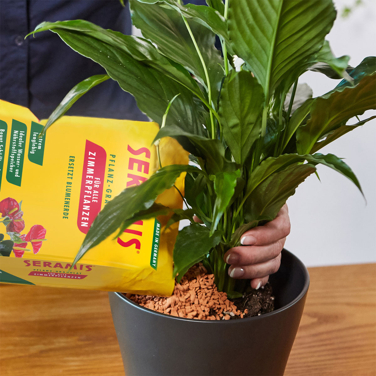 Seramis Pflanzgranulat für Zimmerpflanzen 2,5 L Bild 5