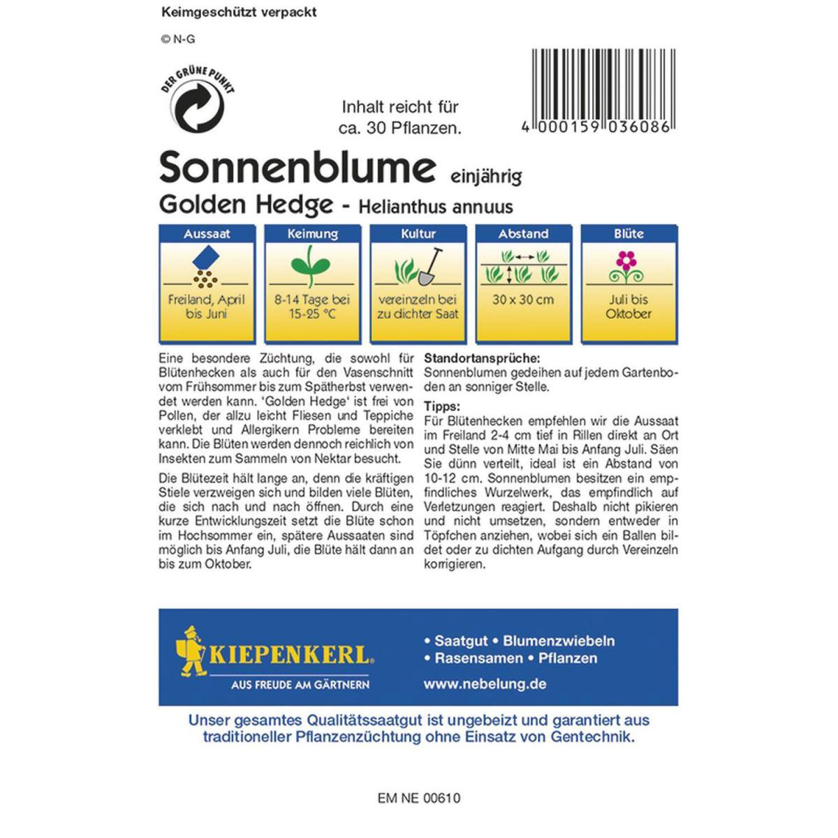 Kiepenkerl Hecken-Sonnenblume Golden Hedge Profi-Line Bild 2