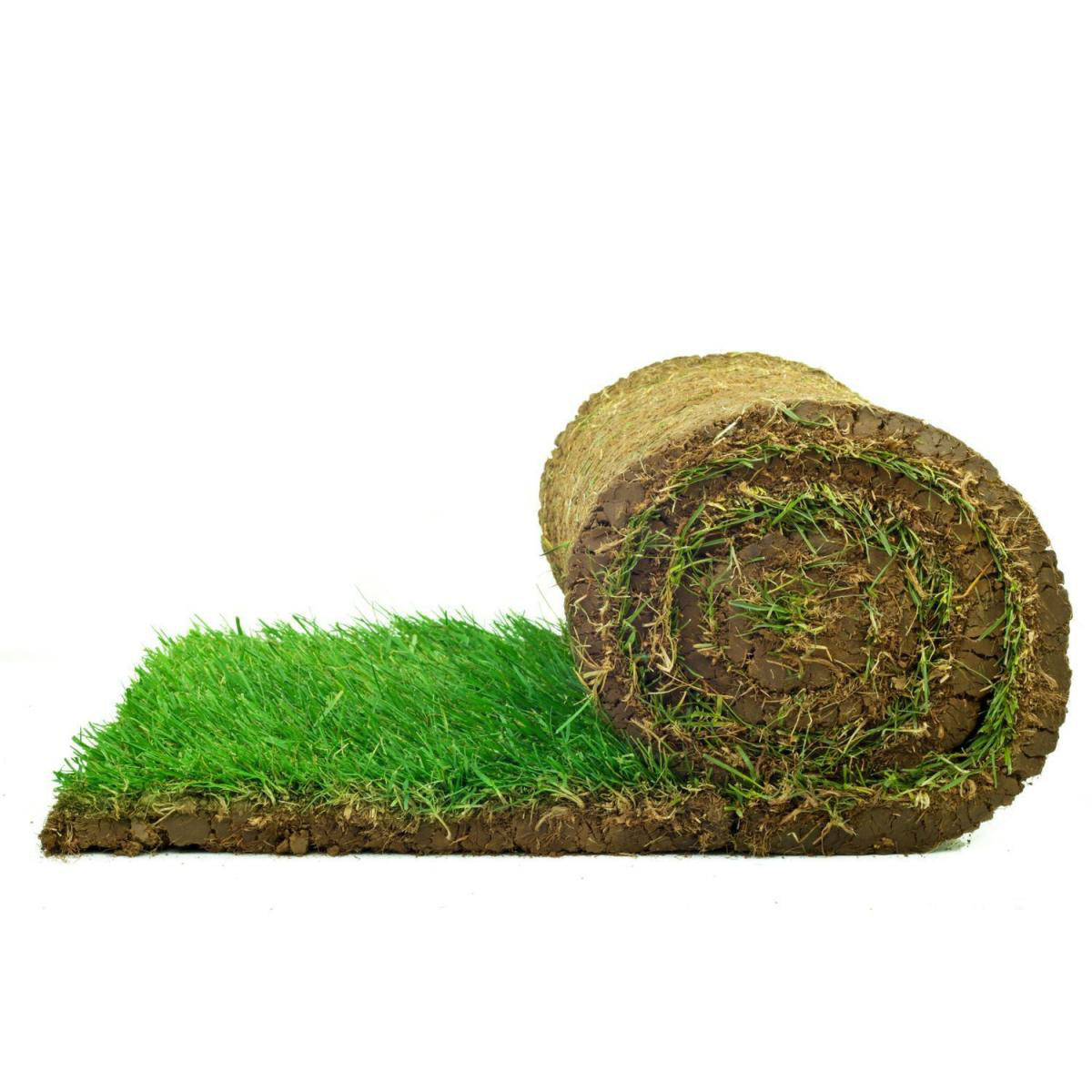 Plantiflor Rollrasen Premium-Qualität