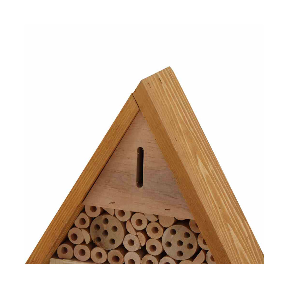 Siena Garden  Bienen- und Schmetterlingshaus Prag Bild 5