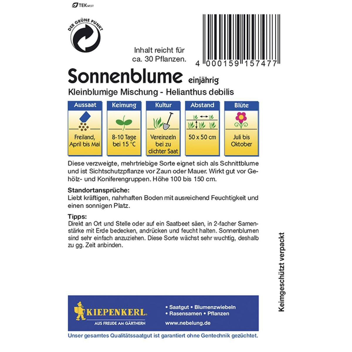 Kiepenkerl Sonnenblumen Helianthus kleinblumige Bild 2