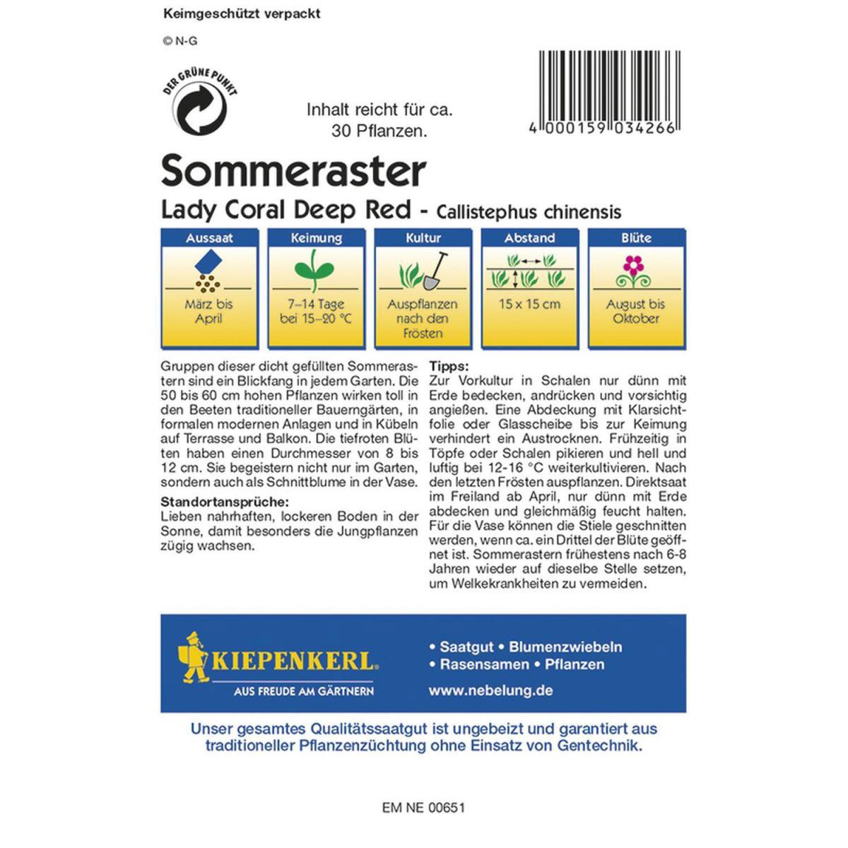 Kiepenkerl Sommeraster Lady Coral Deep Red Bild 2