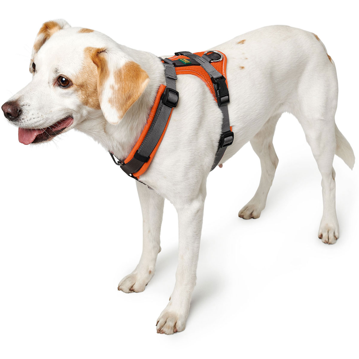 Hunter Hundegeschirr Maldon orange-grau Größe M-L Bild 2