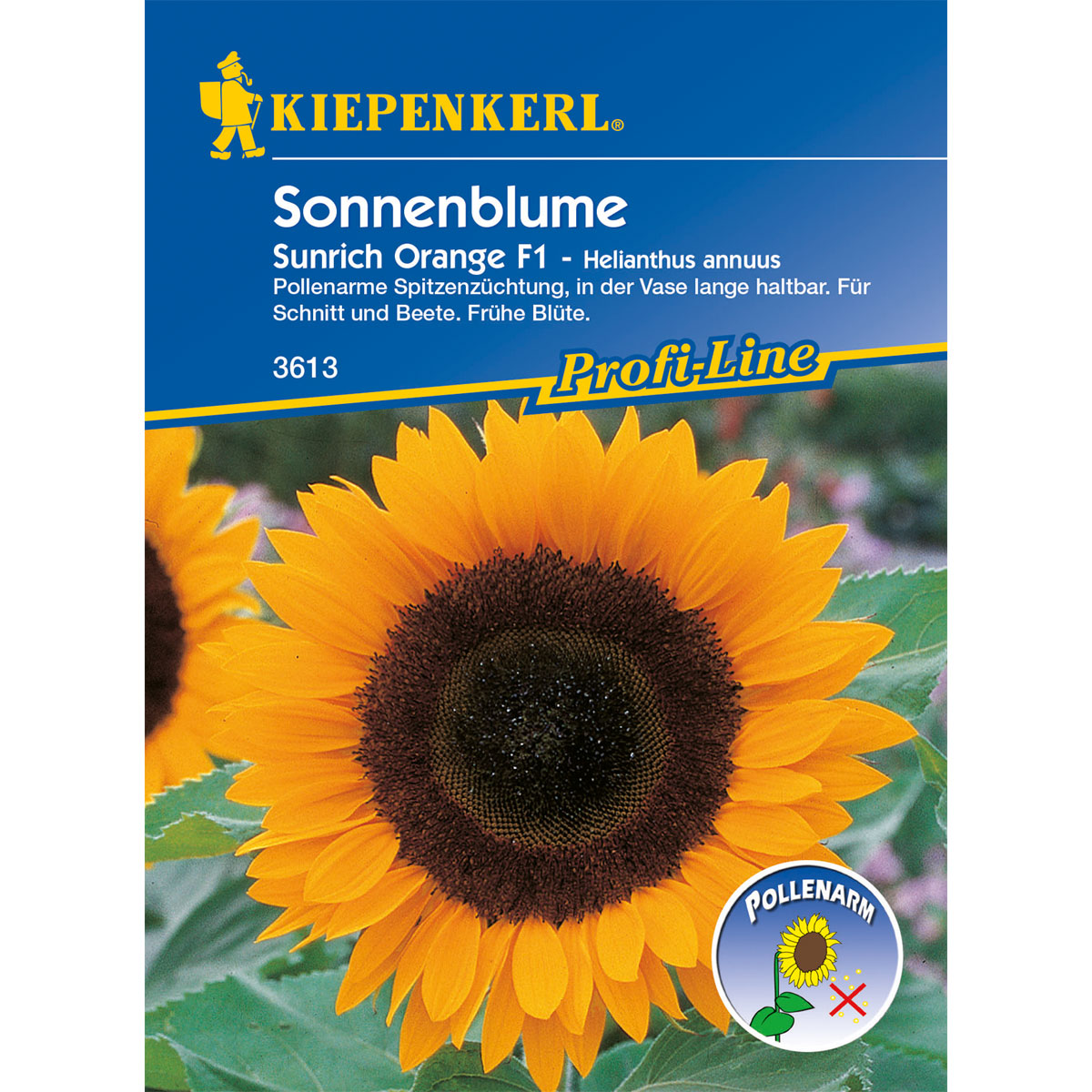 Kiepenkerl Sonnenblume Sunrich Orange Bild 1