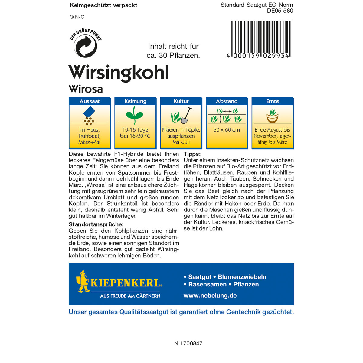 Kiepenkerl Wirsing Wirosa Profi-Line Bild 2