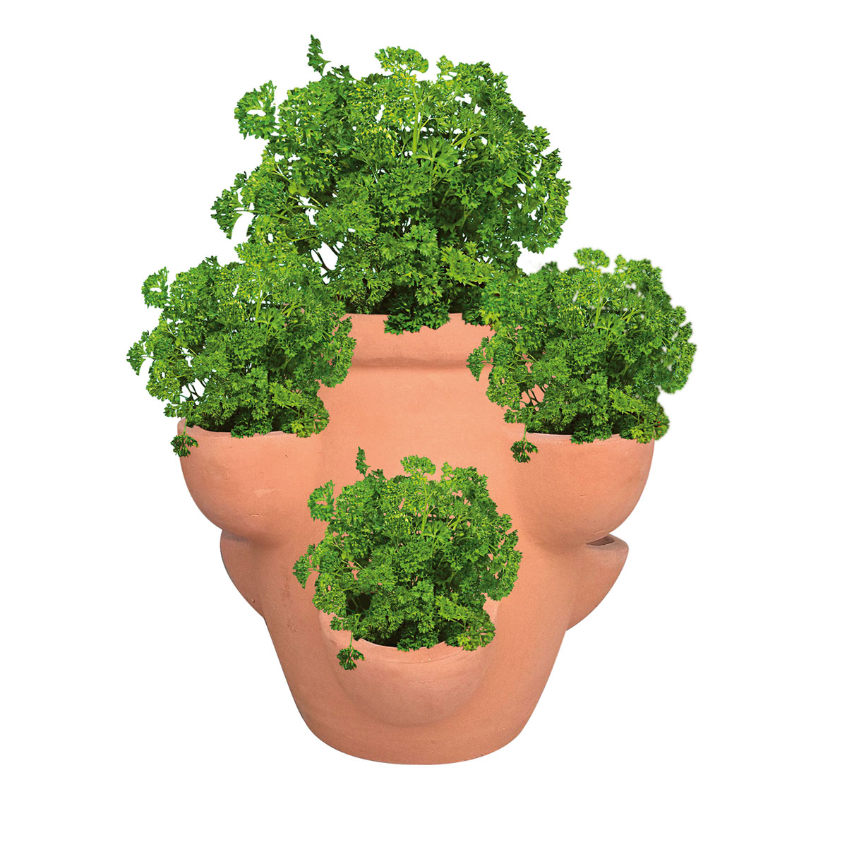 Haveson Erdbeer- und Kräutertopf Giardino Bild 3