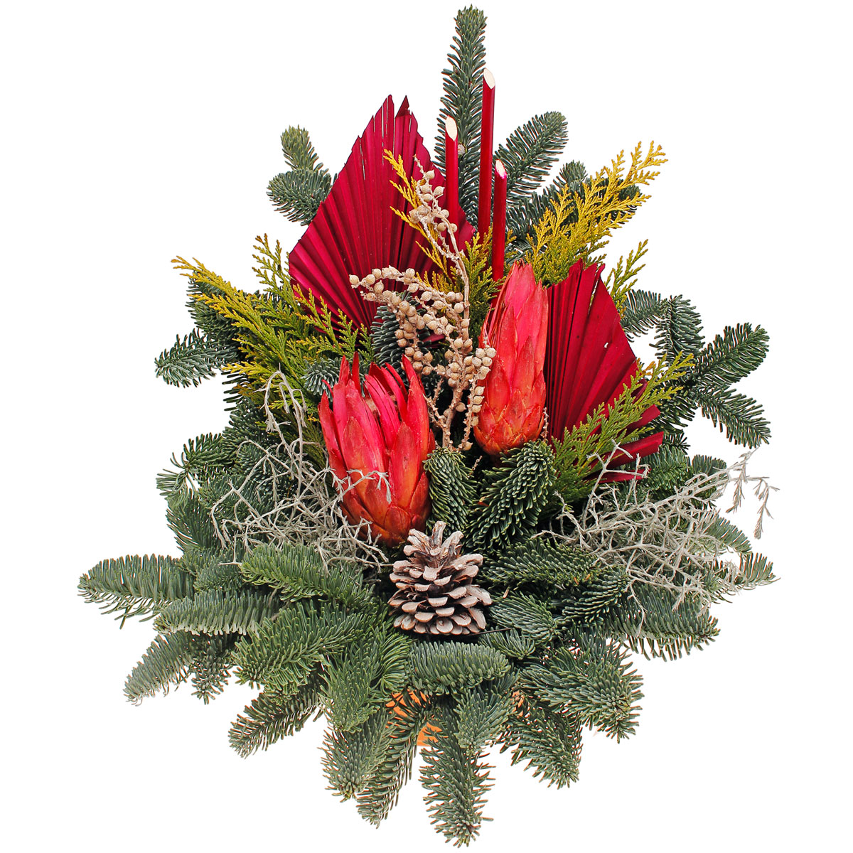 Grabschale 50 x 18 cm