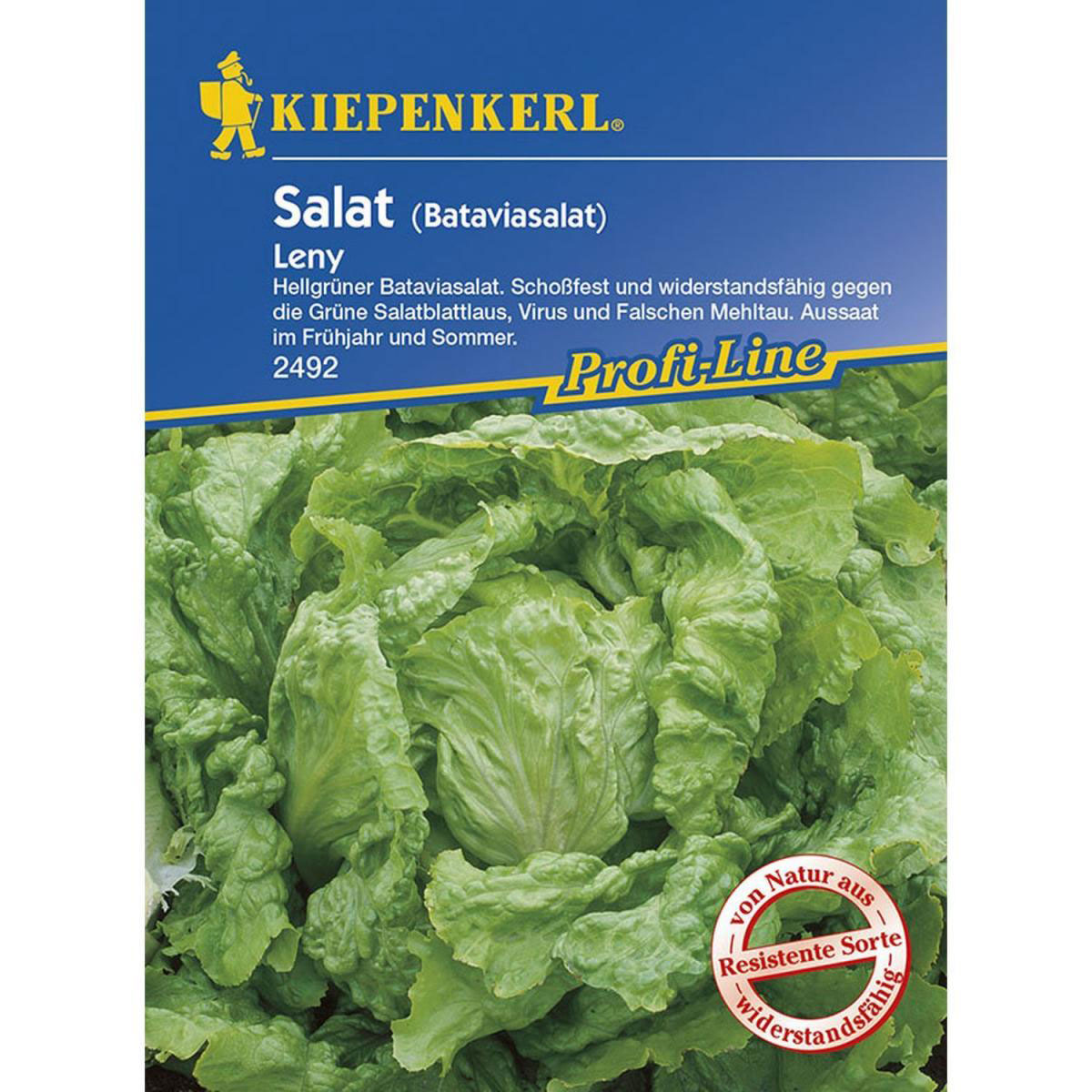 Kiepenkerl Bataviasalat Leny grün Profi-Line