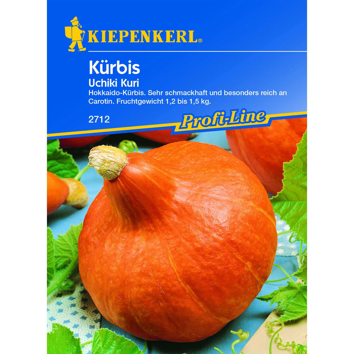 Kiepenkerl Kürbis Uchiki Kuri