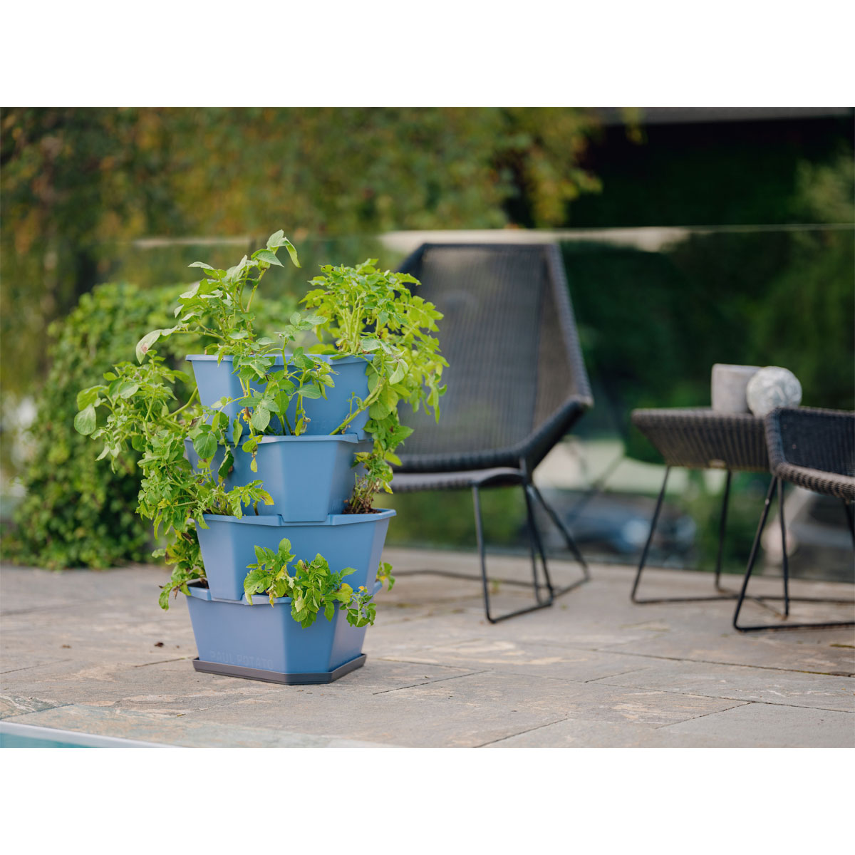 Anzuchtsgefäß Paul Potato blau 4er Set