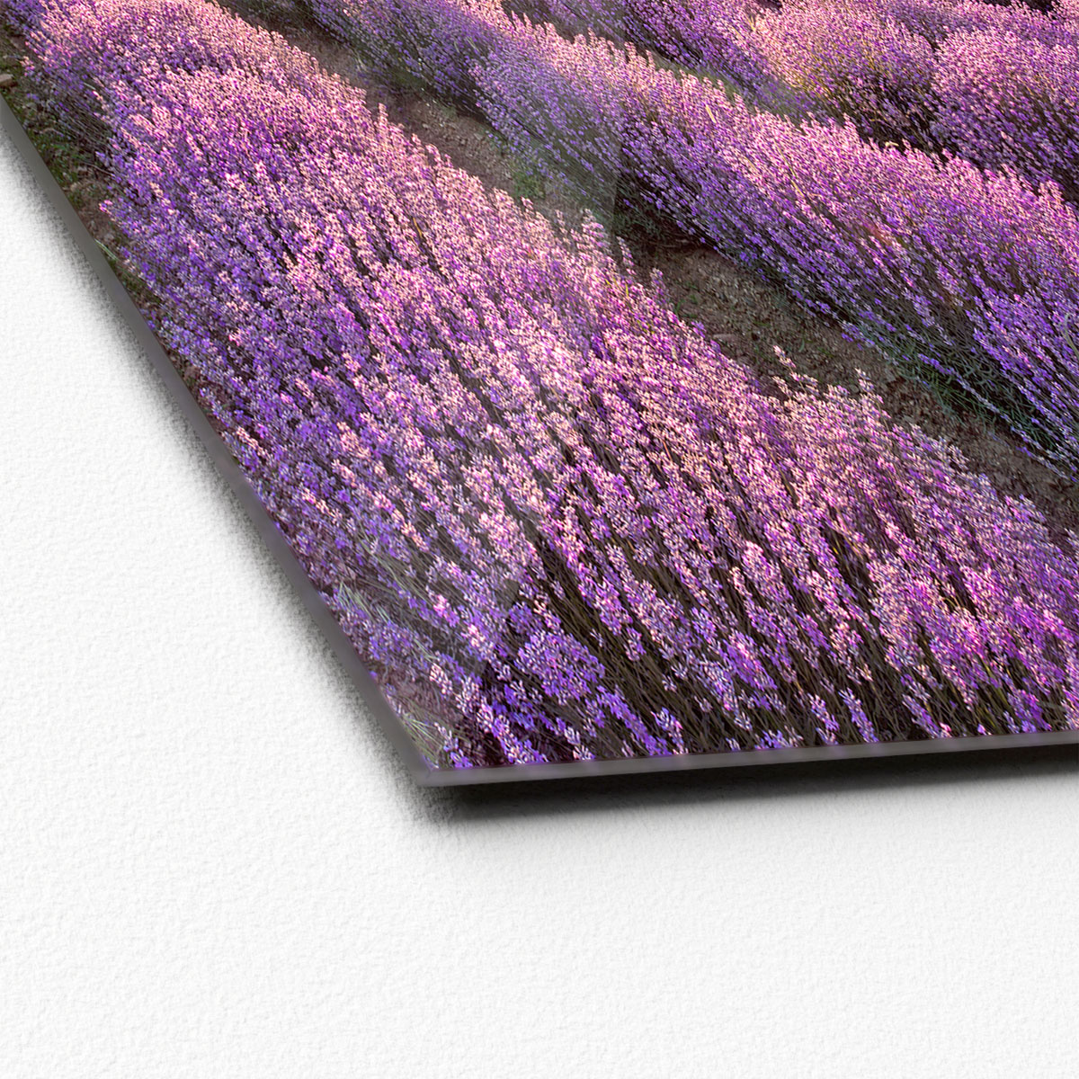 Glas-Art Silence 50 x 50 Glasbild Bild 2