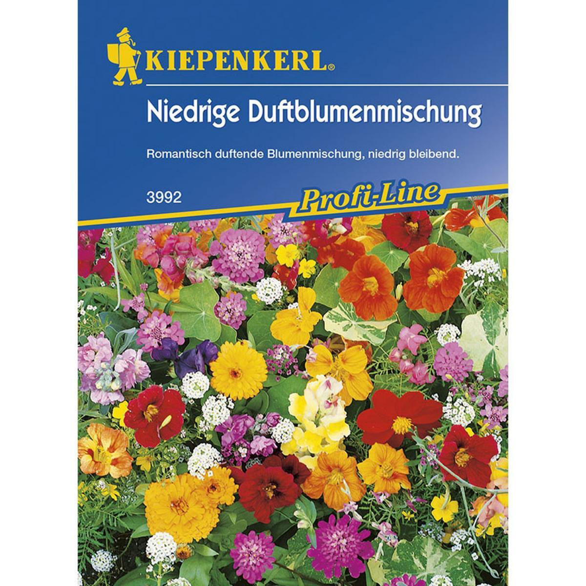 Kiepenkerl Duftblumenmischung niedrige Duftender Steingarten Profi-Line Bild 1