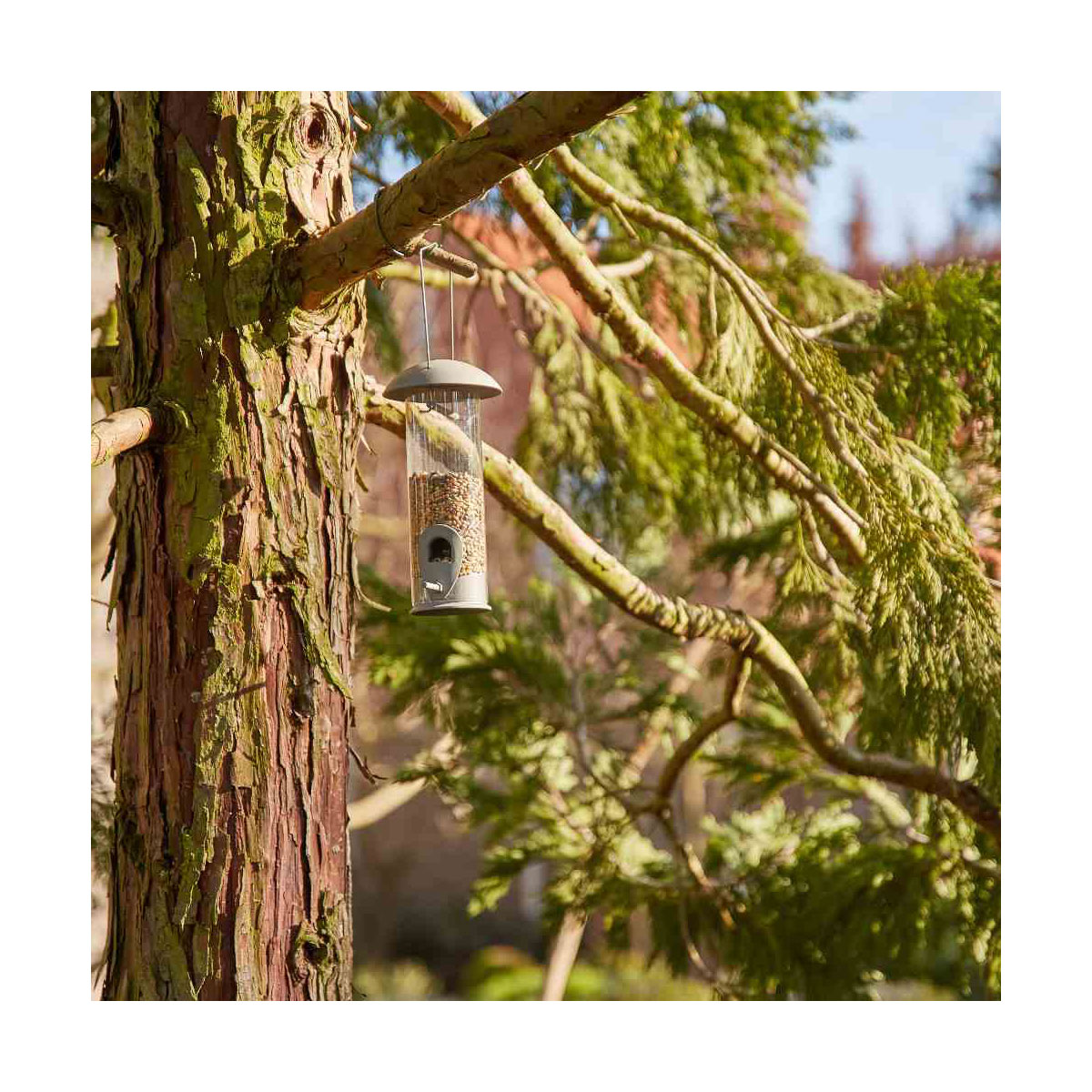 Siena Garden Vogelfuttersule Iron Line fr Mischfutter 22 cm Bild 3