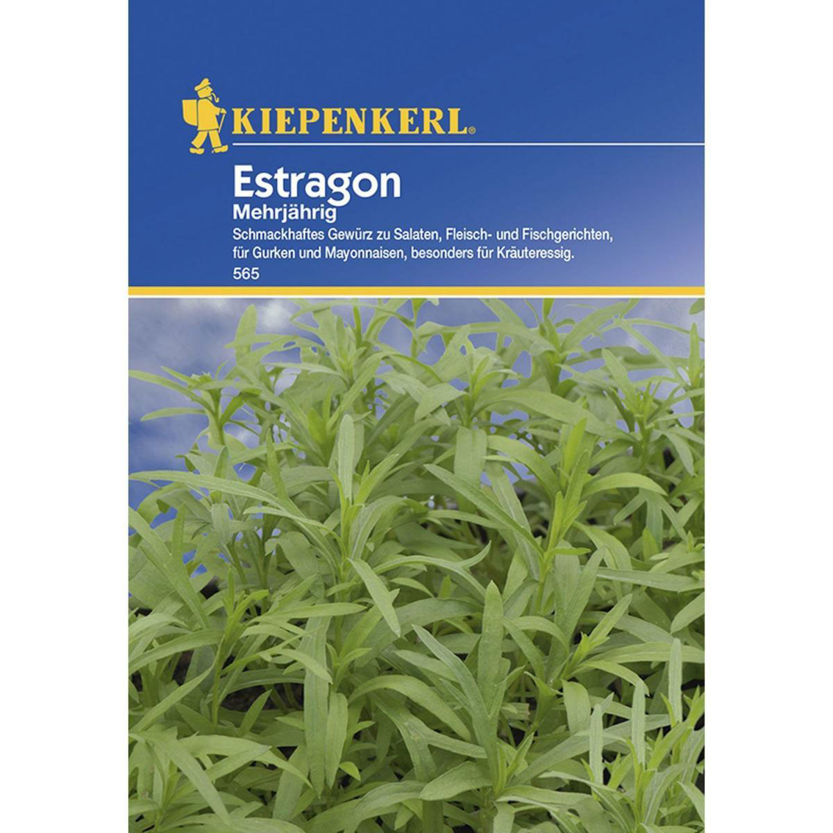 Kiepenkerl Estragon mehrjährig