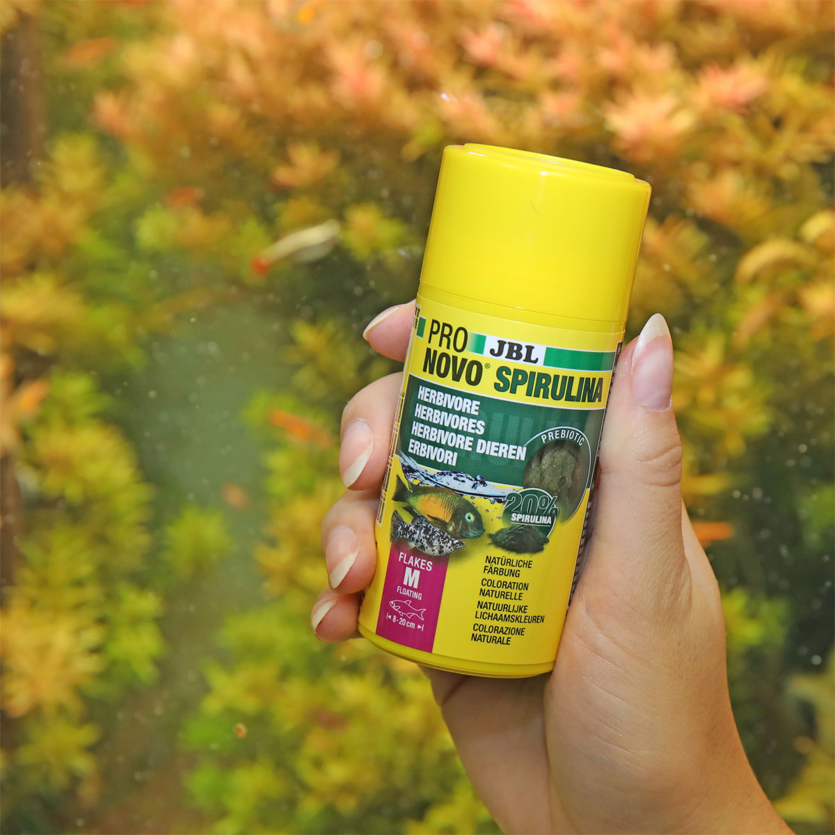 JBL  PRONOVO SPIRULINA FLAKES M 100ml Bild 3