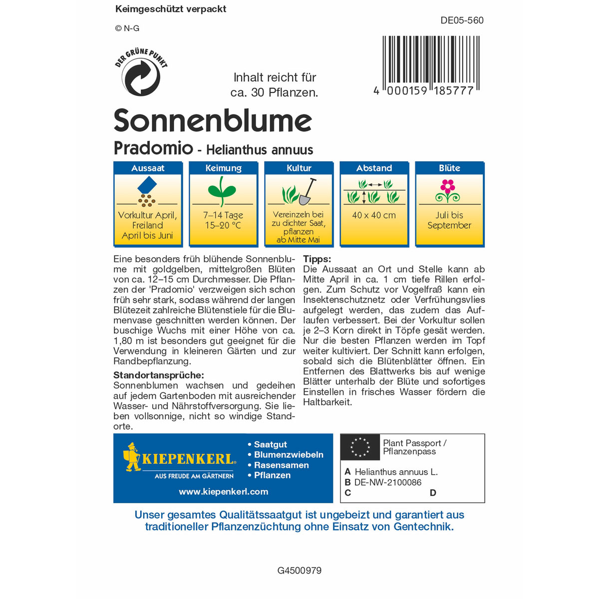 Kiepenkerl Sonnenblume Pradomio Bild 2