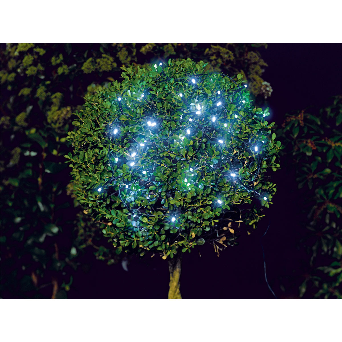 Flector Garten LED-Solar-Lichterkette 50 LEDs inkl Dämmerungssensor Bild 3