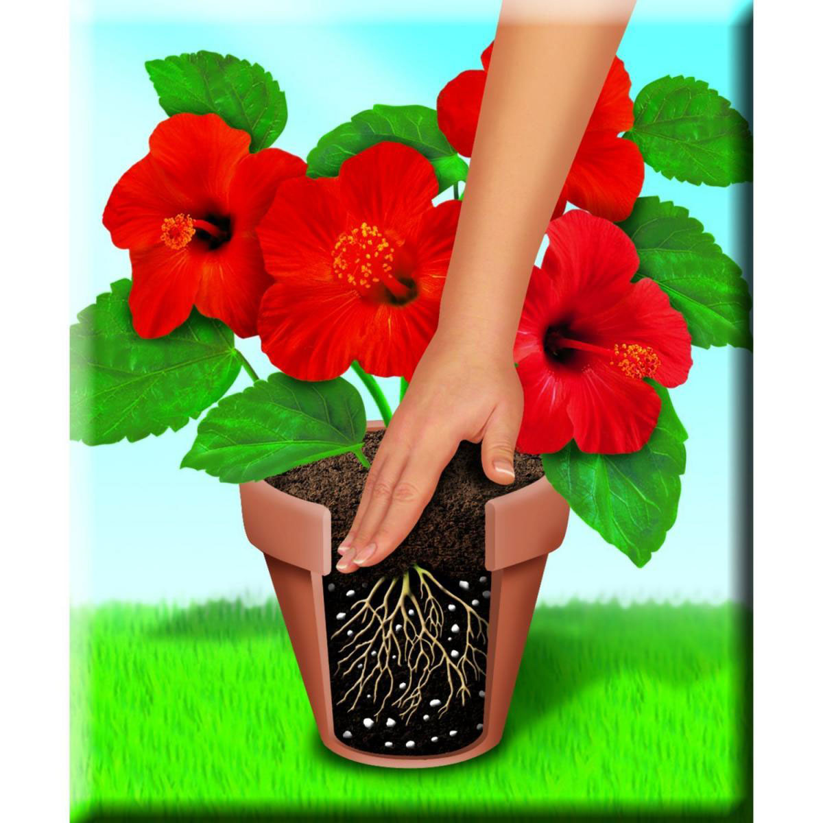 Compo Qualitäts-Blumenerde 50 L Bild 5