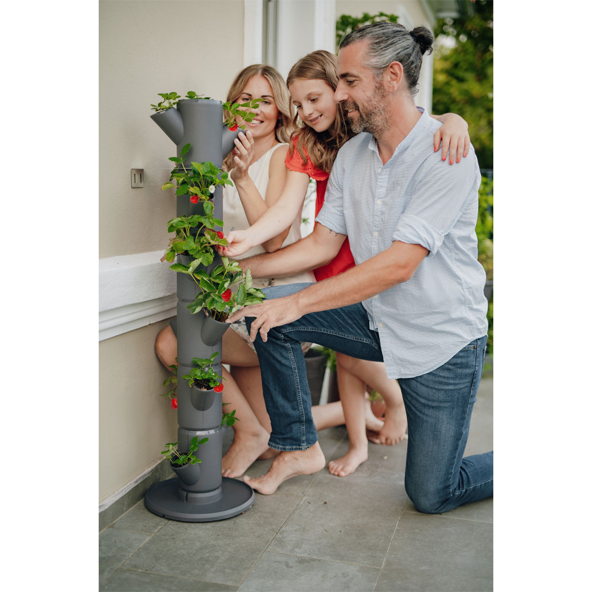 Erdbeerturm Sissi Strawberry Classic anthr.