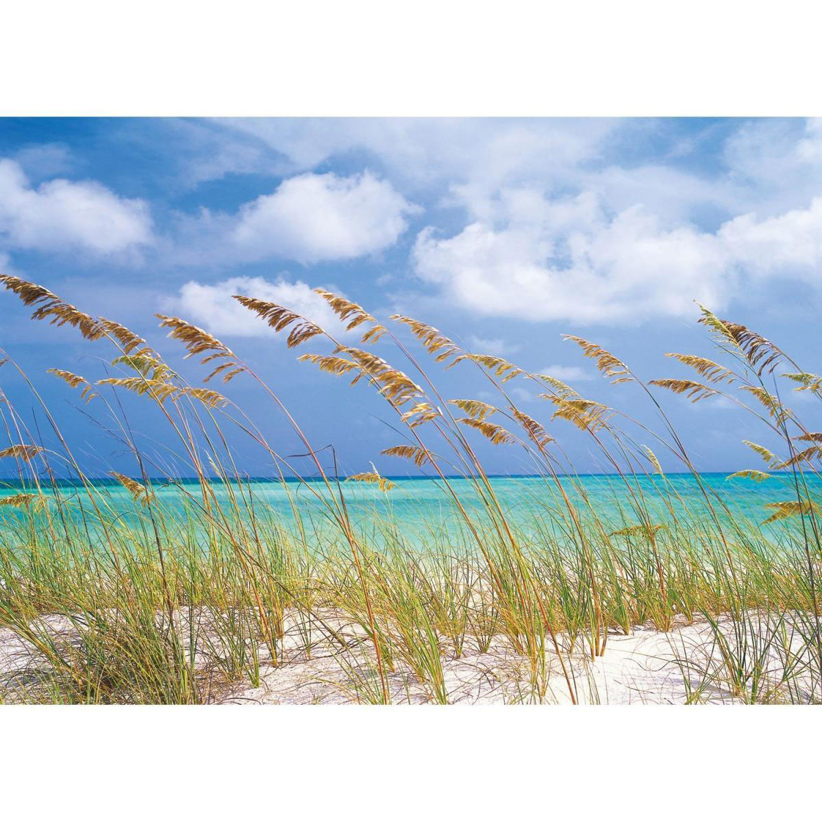 Komar Papier-Fototapete Ocean Breeze 8-teilig 368 x 254 cm
