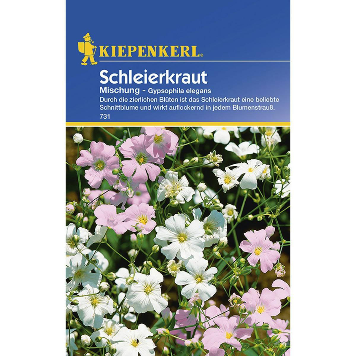 Kiepenkerl Schleierkraut Gypsophila einjährig