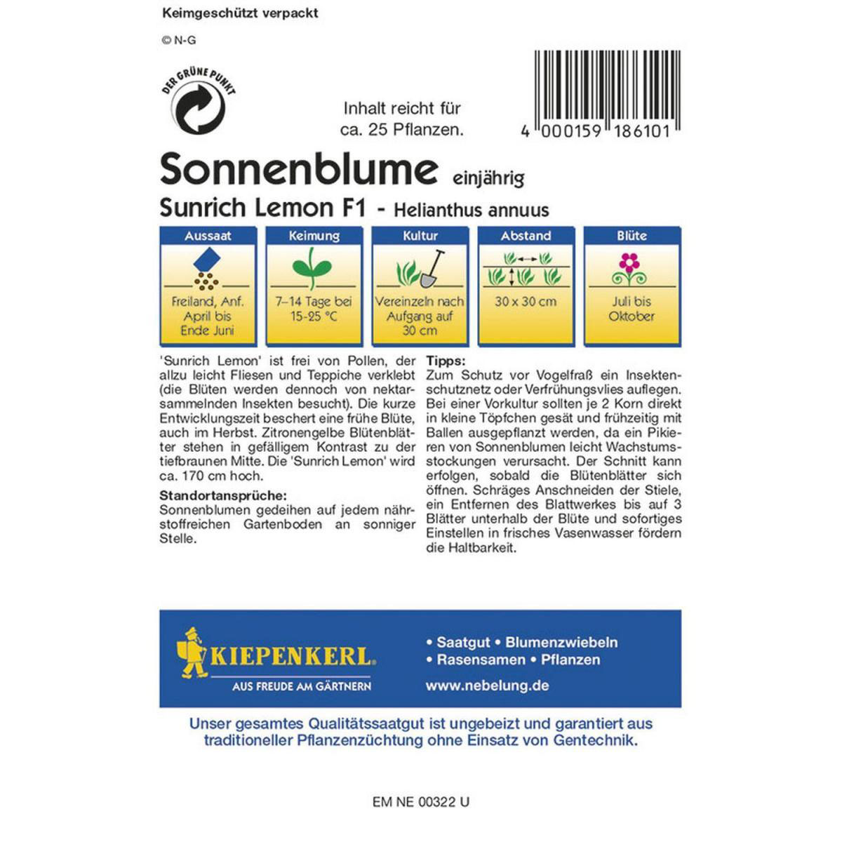 Kiepenkerl Sonnenblume Sunrich Lemon F1 Bild 2