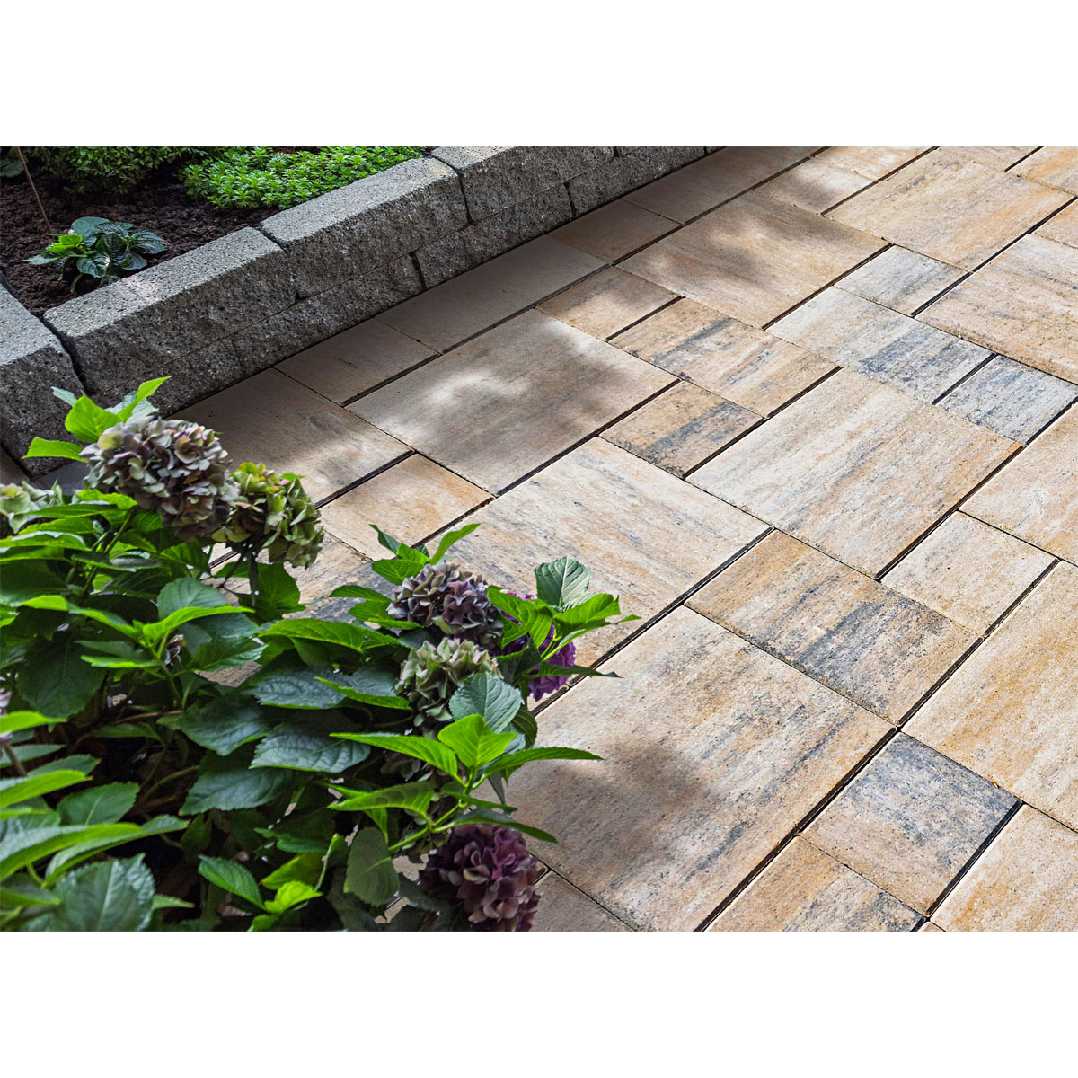Terrassenplatte „No. 1 Nature“, Muschelkalk, 60x60x4cm Bild 4