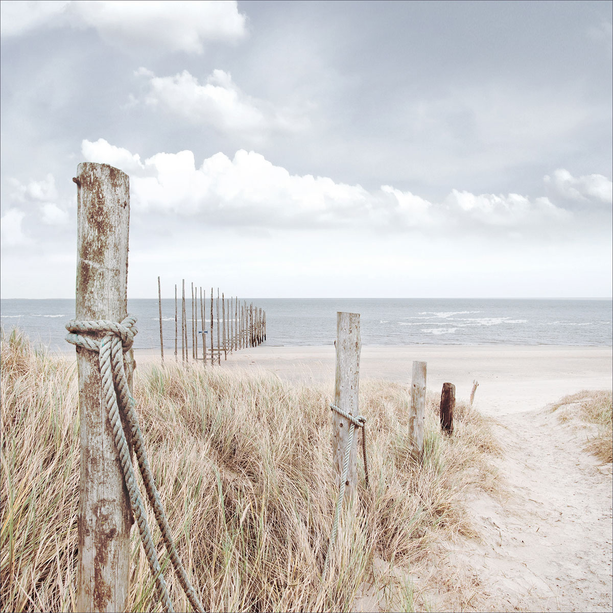 Glas-Art Oase der Sinne II 20 x 20 Glasbild