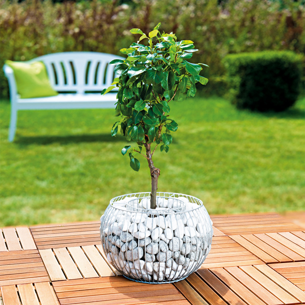 Wilk Gabionen-Pflanzgefäß Olympia M Bild 3