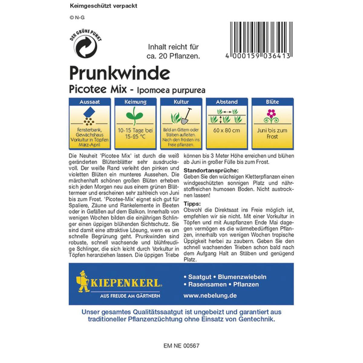 Kiepenkerl Trichterwinde Ipomoea Picotee Mix Profi-Line Bild 2