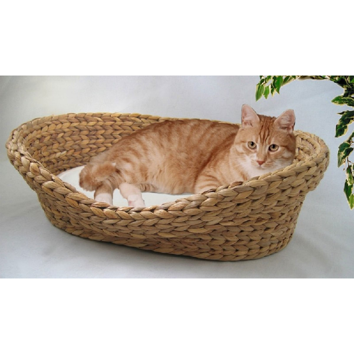 Silvio design Bett aus Wasserhyazinthe, klein