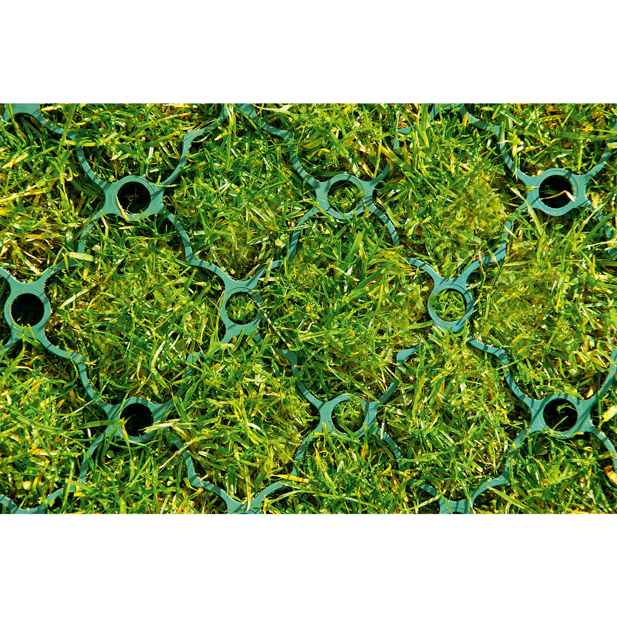 ACO Rasenwabe 586 x 386 mm grün Bild 2