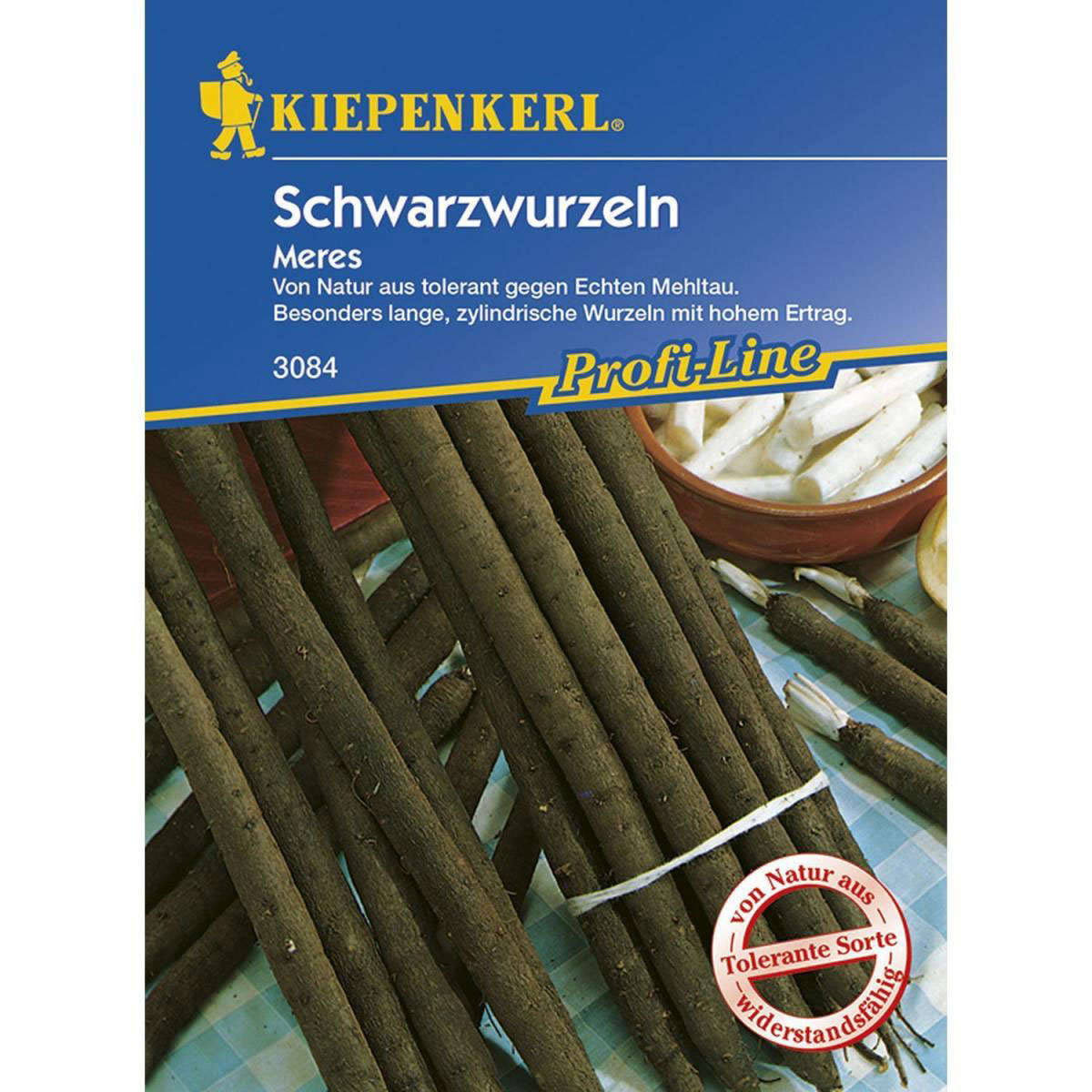 Kiepenkerl Schwarzwurzeln Meres Profi-Line