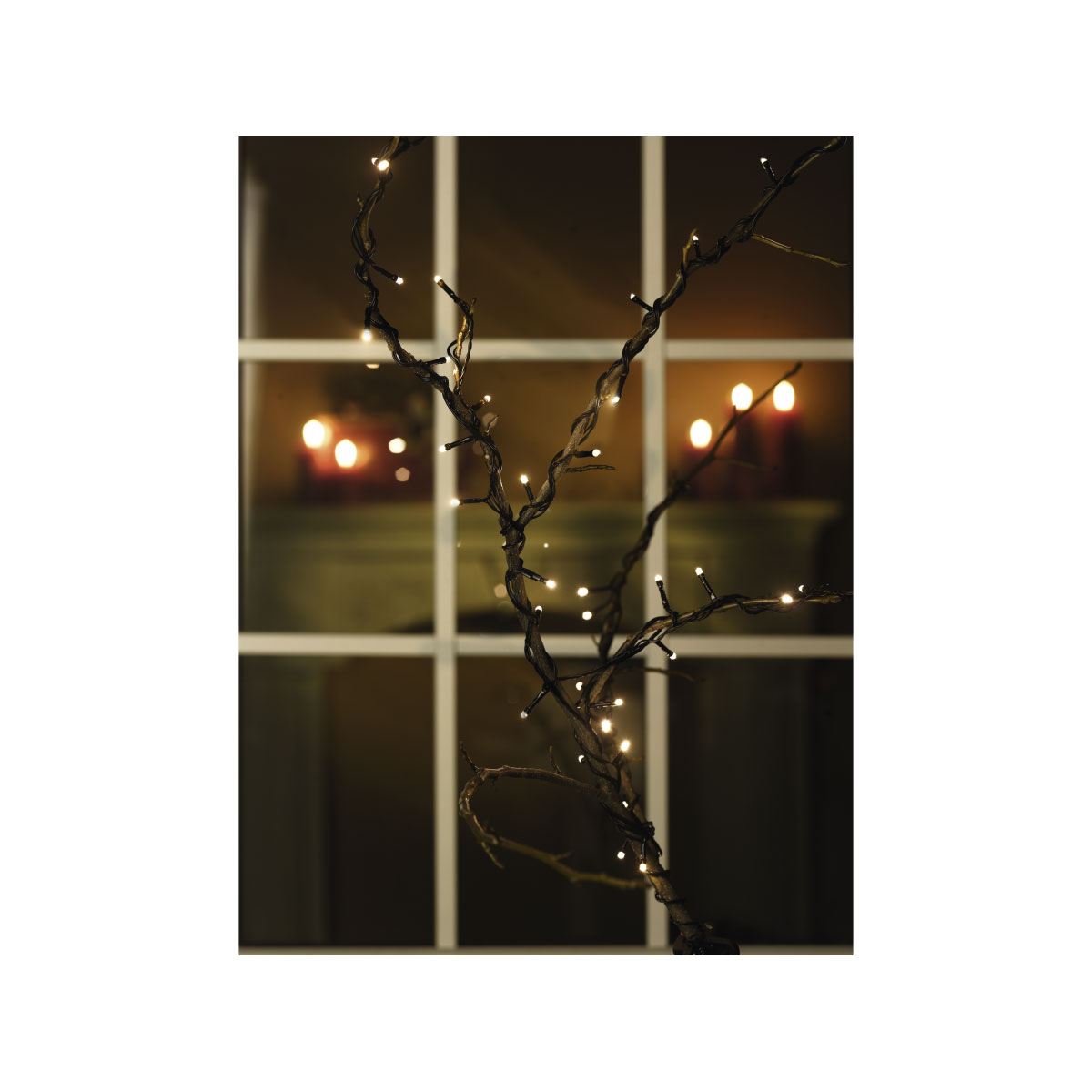 Ambientis LED-Außenlichterkette 40 LEDs