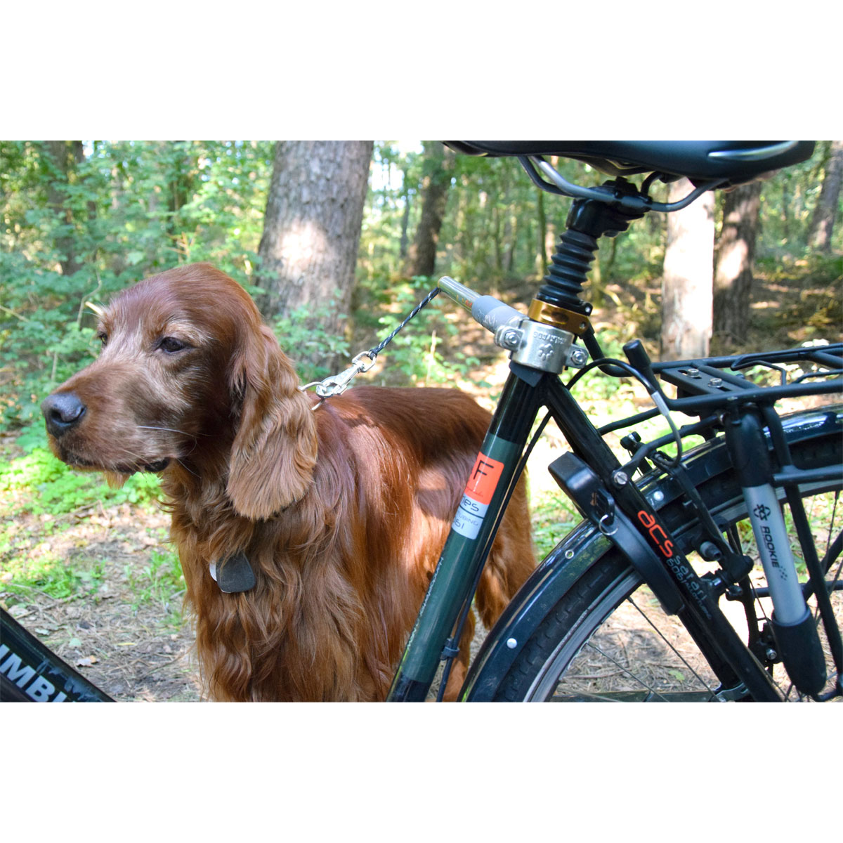 dobar Hundeleine Walky Dog Plus 37 5 cm silber K000292844