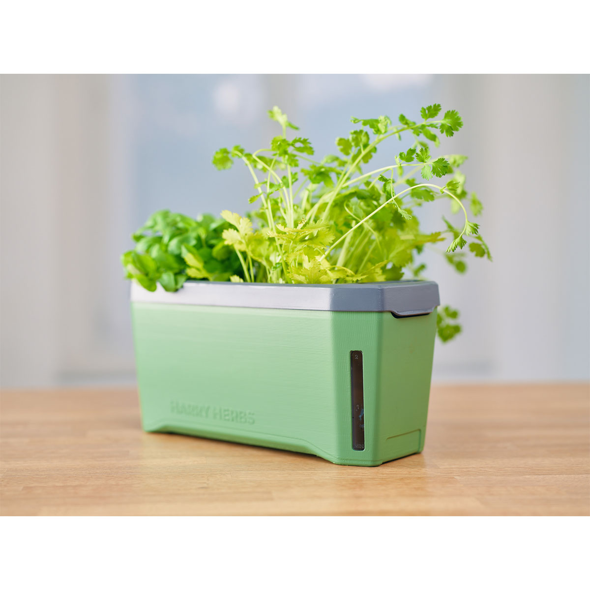 Anzuchtgefäß Harry Herbs mit Deckel dunkelgrün